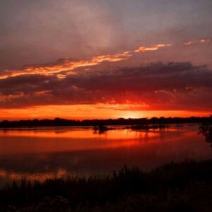 Meet your Posher, Hope O'brien